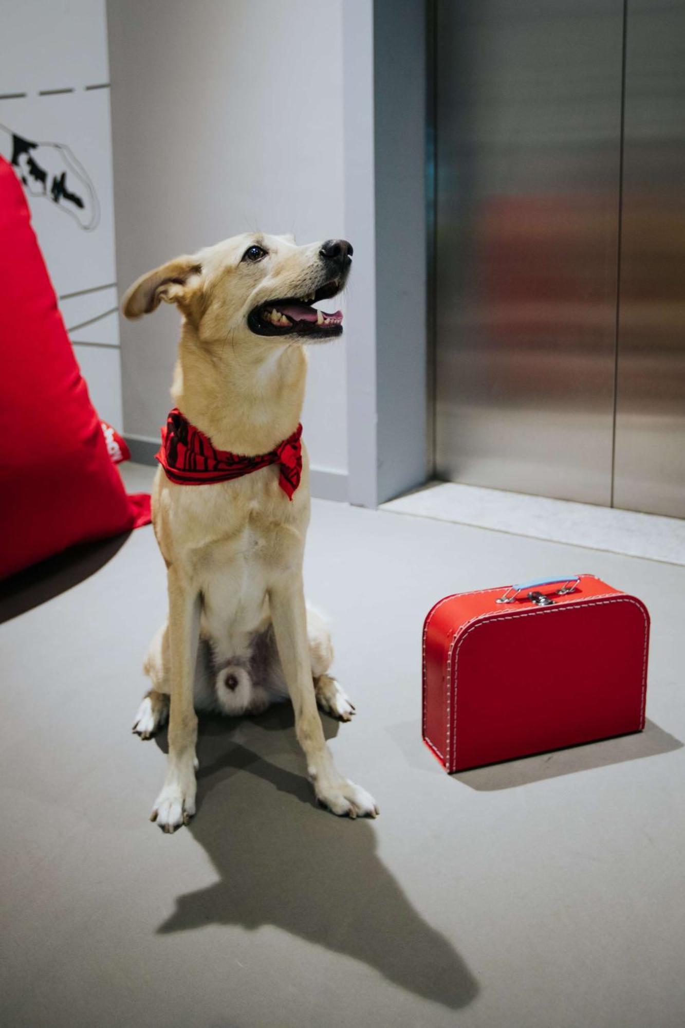 Radisson Red Silicon Oasis 4* Дубай